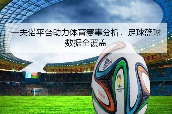 一夫诺平台助力体育赛事分析，足球篮球数据全覆盖