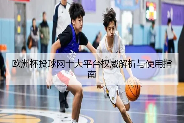 欧洲杯投球网十大平台权威解析与使用指南