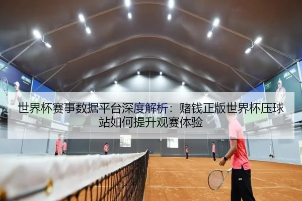 世界杯赛事数据平台深度解析：赌钱正版世界杯压球站如何提升观赛体验